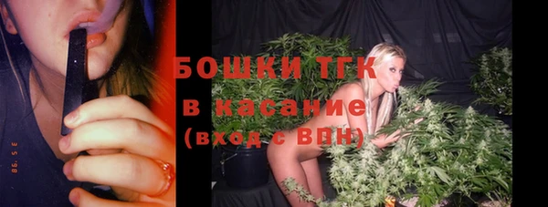 таблы Ельня