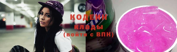 молекула духа Елизово