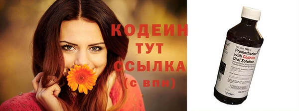 молекула духа Елизово