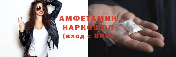 молекула духа Елизово