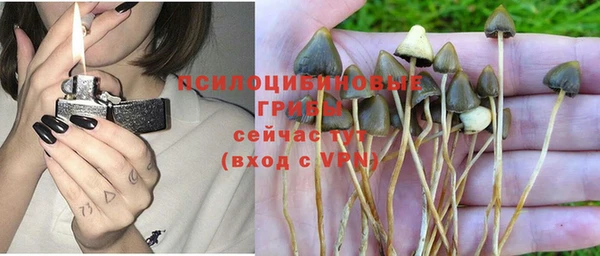 амф Елабуга