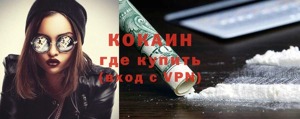соль ск Дмитровск