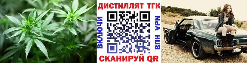 закладки  Строитель  Дистиллят ТГК THC oil 