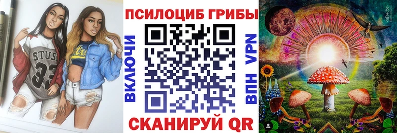Галлюциногенные грибы прущие грибы  Строитель 